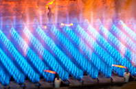 Logan gas fired boilers